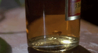 Poltergeist-II-tequila-worm