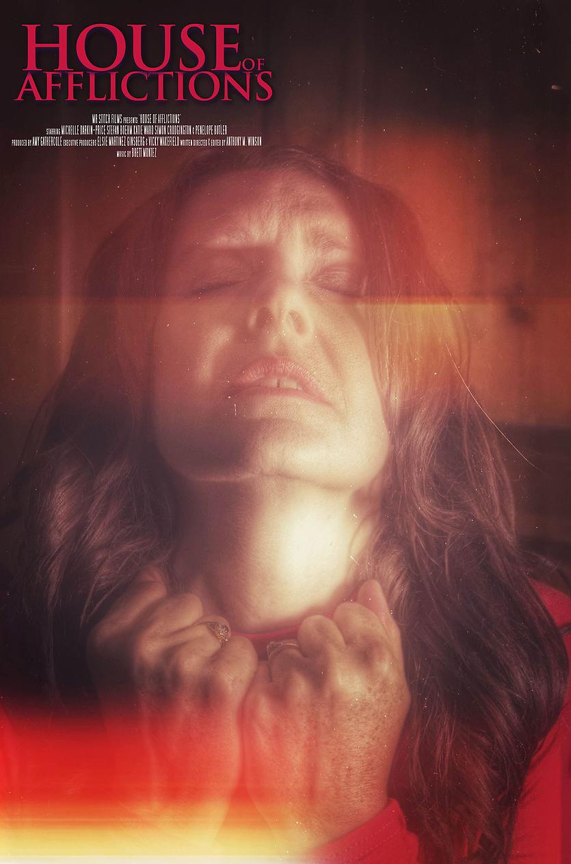 House-of-Afflictions-2014-poster-3