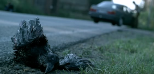 virus-undead-2008-dead-bird