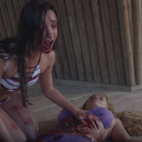 Toxic Shark - USA, 2017