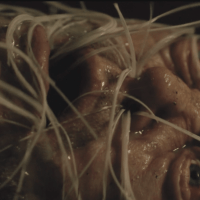 Trench 11 - Canada, 2017