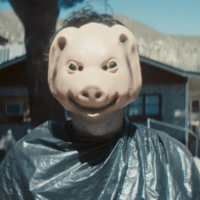 The Farm - USA, 2018