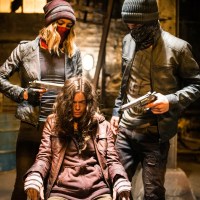 The House on Willow Street (2016)