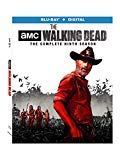 The Walking Dead Season 9 BD [Blu-ray]